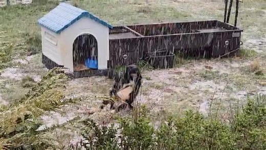 SNOW ALERT: We have had reports of snow around Mt Jerrong near Mt Werong (Oberon way). w3w.co/bind.swirly.cured Now you know why you're feeling cold :) How is the weather where you are? Blue Mountains Snow Falls Blue Mountains Snow Is It Snowing In The Blue Mountains | Ask Roz Blue Mountains