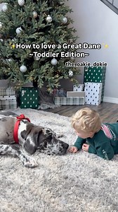 Now that’s one spoiled little puppy 🥰 #kidsanddogs #familydog #dogsofinstagram #christmasdogs #puppykisses #mansbestfriend #toddlermom | the_oakie_dokie