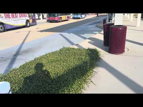 Fast Transit Fayetteville North Carolina Buses 🚍