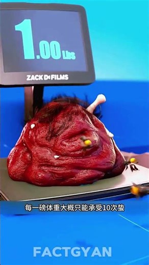 1,500 Bees vs Human Body | What Really Happens #viral #shorts