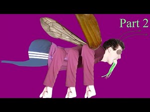 E(n)tymology 2: Every Type of Insect Explained in 20 minutes