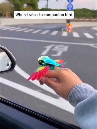 🎅🎄Christmas Gift- Buy 2 Get 1 Free🎁Vehicle Cars Motorcycles Decoration🚙🛵- Flying Birds🦜