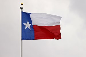How Texas' Population Is Set To Change By 2030