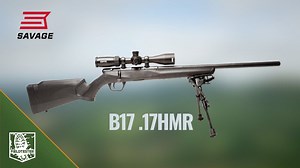 Savage B17 rimfire - review