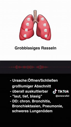 Atemgeräusche verstehen: Gesundheit Deiner Lunge