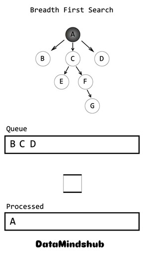 53K views · 405 reactions | Giải thích tìm kiếm BFS dễ hiểu. Cre: datamindshubs. | Code toàn bug | Facebook