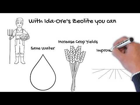 The Benefits of Using Zeolite as a Soil Amendment