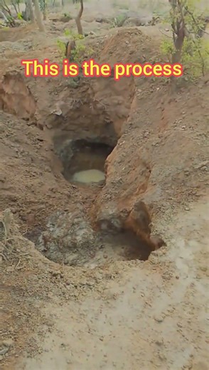 the result of what we have been doing since morning