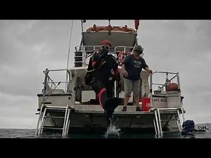 11 days, 19 hours and 23 minutes: Memphis woman sets record-breaking scuba diving journey