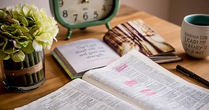 Romans Bible Study – Week 5 – Part 2 – Chapters 13-16 - Time-Warp Wife