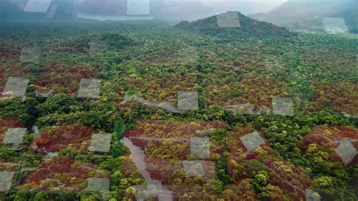 This video shows how insects could feed the world population