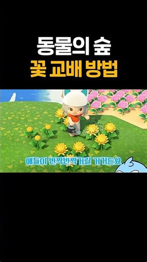 Animal Crossing flower breeding method