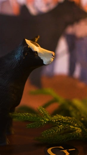 Any predictions who is taking the is lady home this year? The Collegiate judging contest has been opened up to include all 4-H and FFA teams, if you are coming in with your family from across the country try we would still LOVE to have you as a single entry. Registration and packet pickup starts December 20th at 7:30 and the contest will begin at 8:30. More info in our stories. Make sure to tell your coaches to bring your team to Stillwater on the 20th of December!.Now for real, who’s going to w