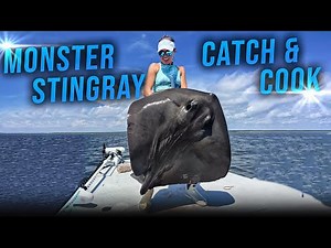 MASSIVE STINGRAY!!! {Catch Clean Cook}