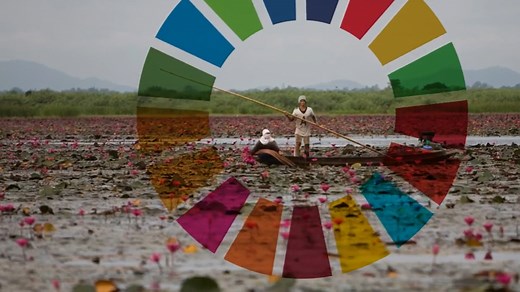 Home | FAO Awards | Food and Agriculture Organization of the United Nations