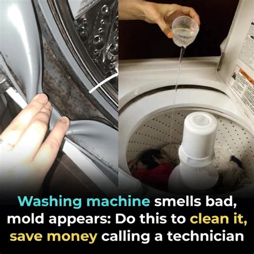 Washing machine smells bad, mold appears: Do this to clean it, save money calling a technician | Feedy Trending