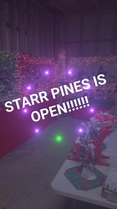 WE'RE OPEN!!!! We will be open everyday until Christmas, 9am-5pm! Visit starrpines.com for more info Share this post and comment "🌲" for a chance to win a box of candy! Winner announced tomorrow, good luck!!! | Starr Pines Christmas Tree Farm