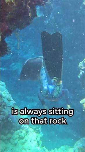 Have You Heard This Legend? 🌊 The Fishing God of Solomon Islands