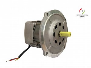 [Hot Item] Durable Riello Motor for Advanced Heating Equipment Solutions