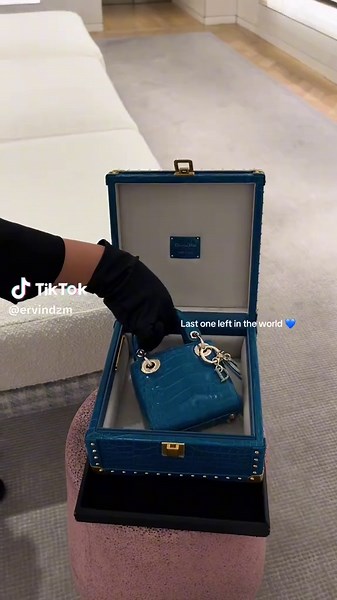 Exclusive Lady Dior Unboxing: Luxury Shopping at its Finest