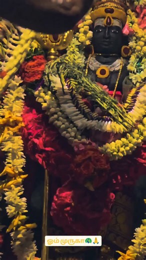 Muralidharan B.E on Instagram: "ஓம் முருகா🦚✨🙏❤️ #muruganthunai🙏❤️🙏🦚⚜️👉✨💕💞💯📿 #templearchitecture #temple"