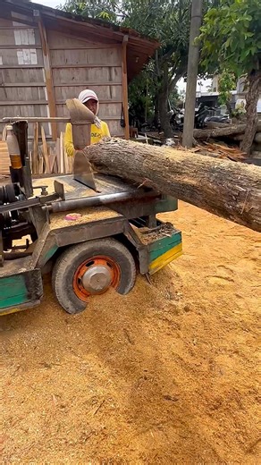 770K views · 3.5K reactions | Gergaji serkel 0507‼️ Pembelahan balok panjang kayu jati #reelsviralシfb #viralvideoシ #viralreelsシ #woodworking #carpintería #sawmachine #woodsplitting #diy #hardwood #madera #woodworkingtechniques #carpintera #woodworkingtools #herramientas | Jaya Mustika Braja Musti | Facebook