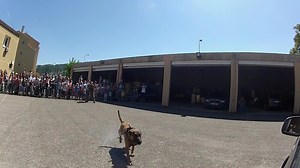 21K views · 210 reactions | La gendarmerie compte plus de 600 équipes...