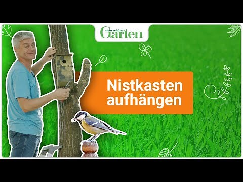 Hanging up a nesting box | Instructions