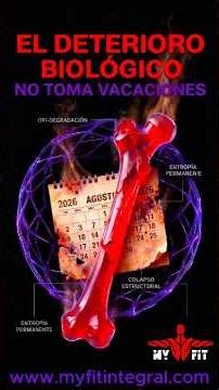 🦴 Deterioro Biológico vs. Vacaciones: ¿Por qué tu cuerpo no tiene botón de pausa?