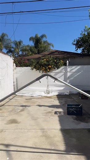 1.6K views | BLACK DRAPE TENT >> This is what happens when you turn a basic tent into a whole moment. ‍ Soft draping, dramatic lines, + a chandelier finish = elevated from every angle. Perfect for birthdays, repasts, corporate events, fashion vibes, you name it. Want this look at your event? DM “DRAPE” + your date + tent size and I’ll send pricing + availability. #TentDraping #EventDraping #LuxuryEvents #EventDesign #InglewoodEvents | Majestic Inglewood Party Rentals | Facebook
