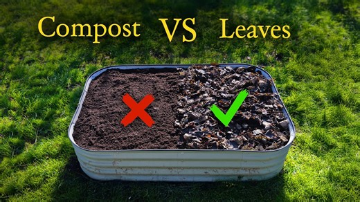 What happened when I stopped mulching with compost