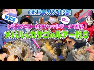 Targeting them with the Drive Crawl and HP Shad Tail! "Excited to catch them❤️Satisfied to eat❤️A...