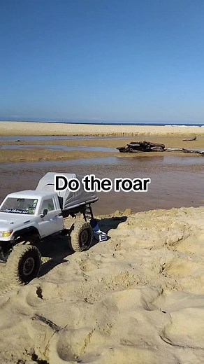 Do the Roar at My Kid's Birthday Party! Celebrate with a Fun and Viral Video