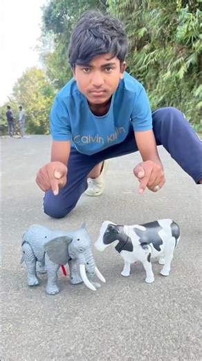 Rc Elephant 🐘 Vs cow 🐄 new remote control unboxing yellow tasing #viral