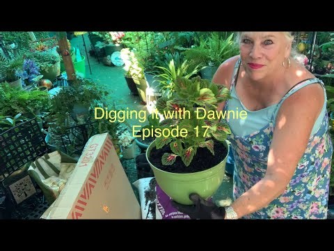 “Digging it with Dawnie” Episode 17 May 2024