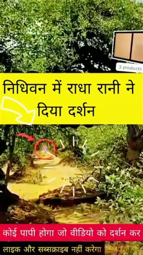 निधिवन में राधा रानी को पुकारते हुए Radha Rani Darshan II Live Darshan #nidhivan #radharani #darshan