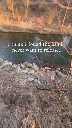 4.6M views · 36K reactions | Fuel the PASSION #catchandrelease #favoriterods #favoritefishing #bassfishing #fishing #bass #reels #howto #catchandrelease #fishingislife #fishinglife #foryou #technique #largemouthbass #smallmouthbass #fishingtrip #fishingaddict #fishingdaily #floridafishing #outdoors #outdoorlife #angler #fisherman #futureoffishing #favoritearmy | Favorite Fishing Rods | Facebook