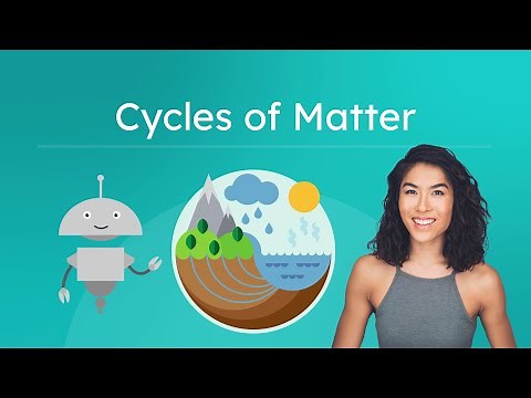 Cycles of Matter - Water, Carbon, Nitrogen, and Phosphorus Cycles Explained
