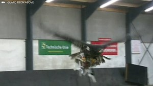 Eagles are being trained to catch drones. | HuffPost