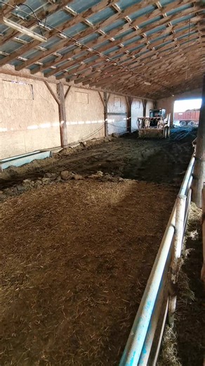 Βίντεο χρήστη savvas kallimanis (@savvaskallis) με μουσική original sound - 𝓳𝓪𝓬𝓮 🔴🔵