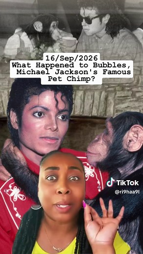 Bubbles: Michael Jackson's Chimpanzee's Life