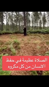 1.4M views · 93K reactions | #islamic #islam #allah #muslim #islamicquotes #quran #muslimah #allahuakbar #deen #dua #makkah #islamicpost #islamicreminders #sunnah #ramadan #alhamdulillah #muhammad #islamicreminder #muslims #jannah #instagram #madinah #madina #pakistan #islamicquote#reels#reelsvideo #fypシ゚ | Best moments | Facebook