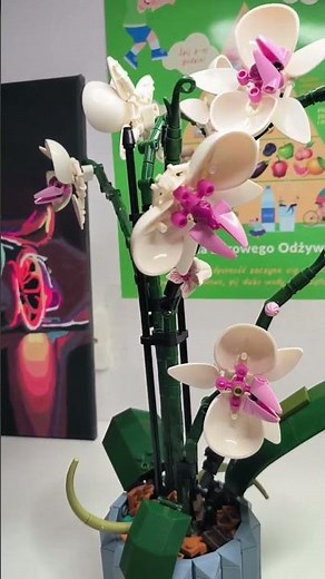 LEGO 10311 Orchid Come to Life! 🌸🧱