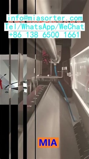 Technical Training And OEM Production Line Color Sorting Machine Complete Solution USA France