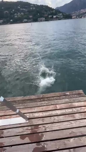 Gainer #gainer #flips #diving #lake #jumps