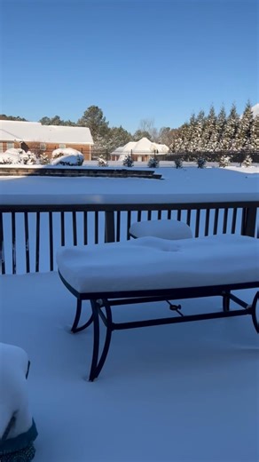 I think I need to find someone with a snow shovel🫣🤪 (South Carolina) | Plum Purdy Designs by Reneé Mullins