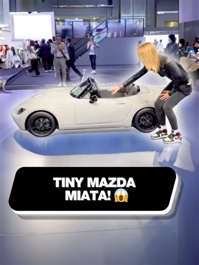 Tiny Mazda Car Parking Challenge