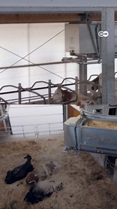 AI is coming to the Farm