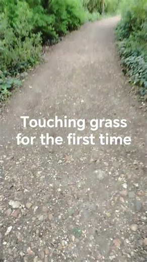 touching grass #shorts #touchgrass #irl