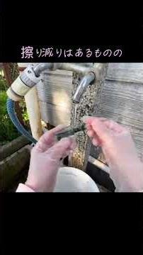 【100年前の宝探し】海岸で見つけた価値の高い骨董ガラスの正体は？